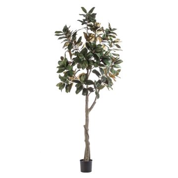 Árbol de magnolia Yulan artificial BELLITA, tronco artificial, verde oliva, 240 cm