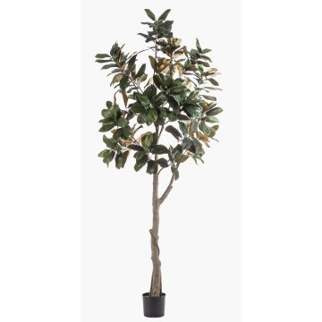 Árbol de magnolia Yulan artificial BELLITA, tronco artificial, verde oliva, 240 cm