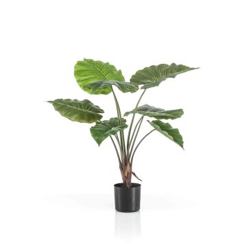 Planta artificial Alocasia Calidora FAYOR, verde, 70 cm