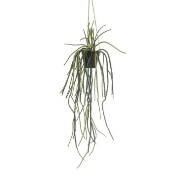 Maceta colgante artificial Rhipsalis pilocarpa JEXIA, maceta decorativa, verde, 85 cm
