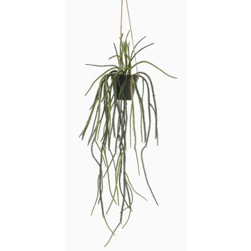 Maceta colgante artificial Rhipsalis pilocarpa JEXIA, maceta decorativa, verde, 85 cm Maceta colgante artificial Rhipsalis pilocarpa JEXIA, maceta decorativa, verde, 85 cm