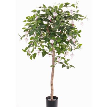 Fucsia artificial MINERVA, tronco real, flores, rosa pálido, 90cm