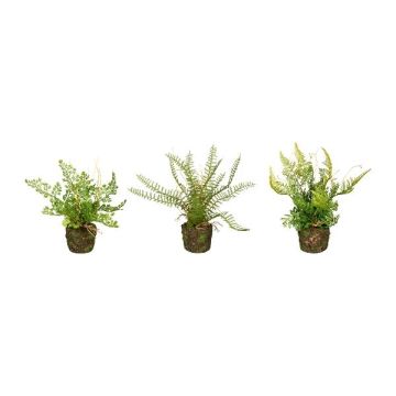 Mezcla de helechos artificiales FUNGAR, helecho culantrillo, helecho espada, helecho escudo, 3 unidades, cepellón, verde, 22 cm, Ø 25 cm Mezcla de helechos artificiales FUNGAR, helecho culantrillo, helecho espada, helecho escudo, 3 unidades, cepellón, verde, 22 cm, Ø 25 cm