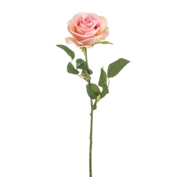 Rosa artificial BRUNETTE, rosa-crema, 70 cm, Ø 11 cm Rosa artificial BRUNETTE, rosa-crema, 70 cm, Ø 11 cm