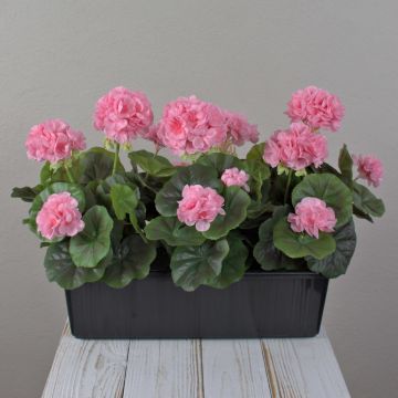 Geranios artificiales FLOREANA en maceta, 3 unidades, rosa claro, 40 x 15 x 35 cm Geranios artificiales FLOREANA en maceta, 3 unidades, rosa claro, 40 x 15 x 35 cm