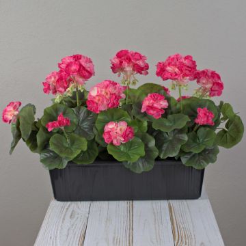 Geranios artificiales FLOREANA en maceta, 3 unidades, rosa oscuro, 40 x 15 x 35 cm Geranios artificiales FLOREANA en maceta, 3 unidades, rosa oscuro, 40 x 15 x 35 cm
