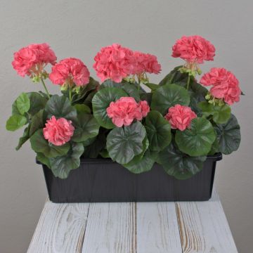 Geranios artificiales FLOREANA en maceta, 3 unidades, color salmón, 40 x 15 x 35 cm Geranios artificiales FLOREANA en maceta, 3 unidades, color salmón, 40 x 15 x 35 cm