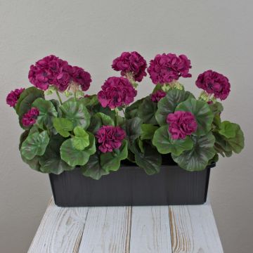 Geranios artificiales FLOREANA en maceta, 3 unidades, rojo burdeos, 40 x 15 x 35 cm