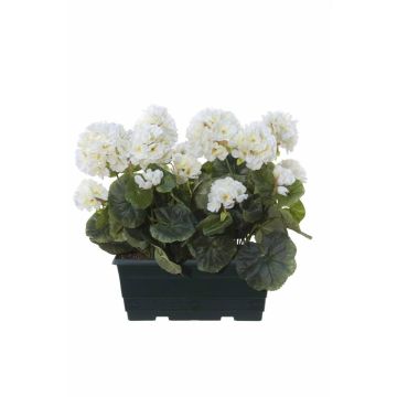 Geranios artificiales FLOREANA en maceta, 2 unidades, blancos, 24 x 11 x 35 cm Geranios artificiales FLOREANA en maceta, 2 unidades, blancos, 24 x 11 x 35 cm
