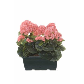 Geranios artificiales FLOREANA en maceta, 2 unidades, color salmón, 24 x 11 x 35 cm