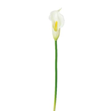 Flor de plástico Calla PERKAN, blanca, 35 cm