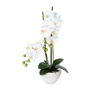 Orquídea Phalaenopsis textil DINKA en cuenco de cerámica, raíces, blanca, 50 cm