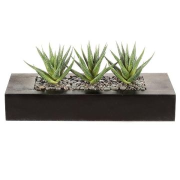 Suculenta artificial Aloe variegata FRONZ en caja de madera, verde y blanco, 36 x 15,5 x 16 cm Suculenta artificial Aloe variegata FRONZ en caja de madera, verde y blanco, 36 x 15,5 x 16 cm