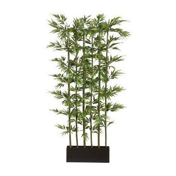 Separador de ambientes artificial de bambú japonés KAWAI en caja de madera, troncos naturales, 95x50x165cm Separador de ambientes artificial de bambú japonés KAWAI en caja de madera, troncos naturales, 95x50x165cm