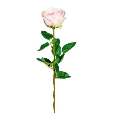 Flor decorativa Rosa NORLAN, rosa, 70 cm