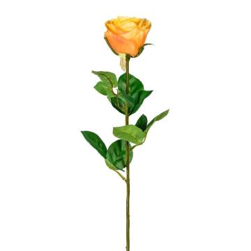 Flor decorativa rosa NORLAN, albaricoque, 70cm, Ø8cm