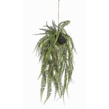 Planta artificial helecho MANASLU, globo terráqueo, raíces, verde, 70 cm Planta artificial helecho MANASLU, globo terráqueo, raíces, verde, 70 cm