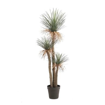 Yuca rostrata DENALI artificial en maceta decorativa, 180 cm