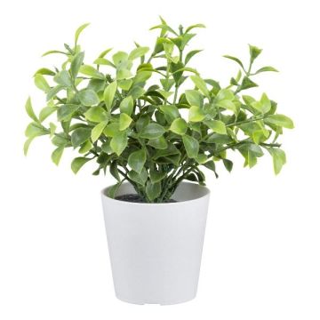 Planta artificial PARAM, 15 cm Planta artificial PARAM, 15 cm