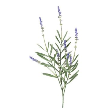 Rama decorativa de lavanda DREVOR, lila, 50 cm Rama decorativa de lavanda DREVOR, lila, 50 cm