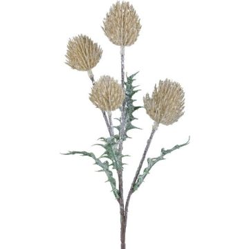 Rama decorativa de cardo noble KRILMO, vainilla, 40 cm