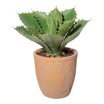 Agave pygmaea decorativa en maceta decorativa BUKEF, verde, 25cm Agave pygmaea decorativa en maceta decorativa BUKEF, verde, 25cm