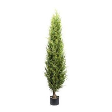 Árbol artificial Thuja QUINSA, tronco artificial, verde, 150 cm Árbol artificial Thuja QUINSA, tronco artificial, verde, 150 cm