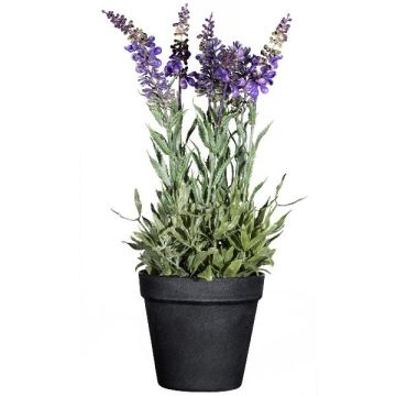 Flor decorativa lavanda KENSY en maceta decorativa, violeta, 35 cm Flor decorativa lavanda KENSY en maceta decorativa, violeta, 35 cm