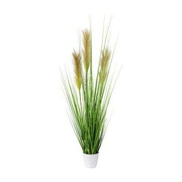 Césped artificial pampa FONZA en maceta decorativa, panículas, marrón-amarillo, 80cm