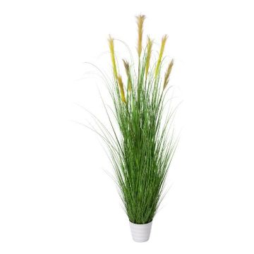 Hierba de pampa artificial FONZA en maceta decorativa, panículas, marrón-amarillo, 180cm