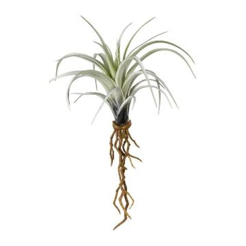 Suculenta artificial Tillandsia stricta SNELDON con raíces, verde, 22 cm