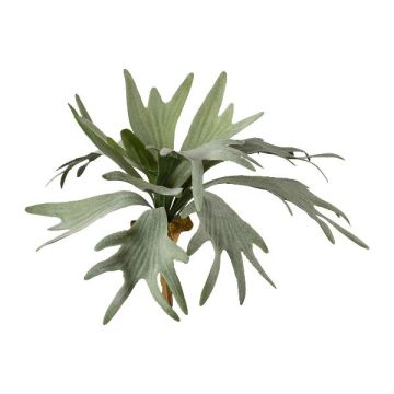 Planta artificial helecho SLUHAR, varilla, verde, 35cm Planta artificial helecho SLUHAR, varilla, verde, 35cm