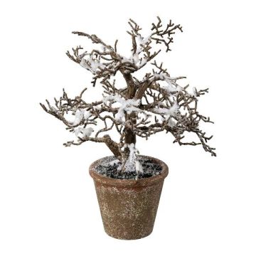 Árbol artificial haya BONKA, sin hojas, nevado, maceta decorativa, blanco-marrón, 24 cm