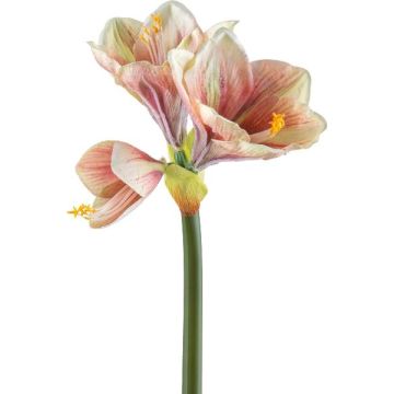 Flor decorativa de amarilis BELAV, rosa-crema-verde, 70cm, Ø5-13cm Flor decorativa de amarilis BELAV, rosa-crema-verde, 70cm, Ø5-13cm