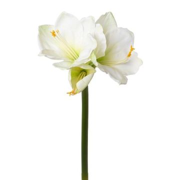 Flor decorativa amarilis BELAV, blanca, blanco-verde, 70cm, Ø5-13cm Flor decorativa amarilis BELAV, blanca, blanco-verde, 70cm, Ø5-13cm