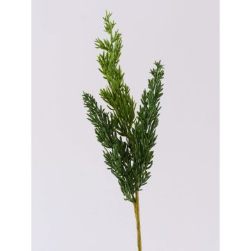 Rama decorativa de enebro STURNYN, verde, 35 cm Rama decorativa de enebro STURNYN, verde, 35 cm