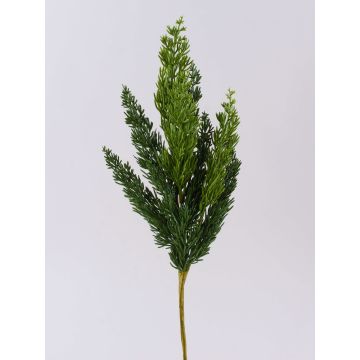 Rama decorativa de enebro STURNYN, verde, 50 cm Rama decorativa de enebro STURNYN, verde, 50 cm