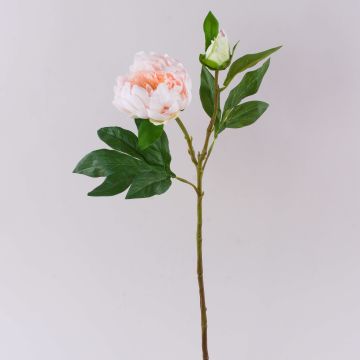 Peonía artificial FYRFAR, abierta, rosa claro, 60 cm Peonía artificial FYRFAR, abierta, rosa claro, 60 cm