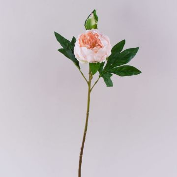 Peonía artificial FYRFAR, semiabierta, rosa claro, 60 cm Peonía artificial FYRFAR, semiabierta, rosa claro, 60 cm