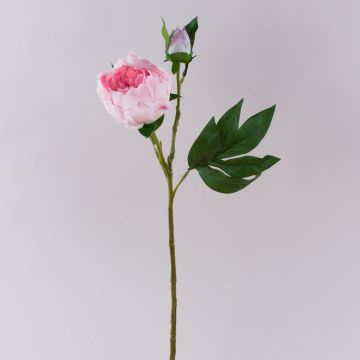 Peonía artificial FYRFAR, semiabierta, rosa, 60 cm Peonía artificial FYRFAR, semiabierta, rosa, 60 cm