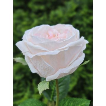 Rosa artificial MARNUK, color crema-albaricoque, 60 cm
