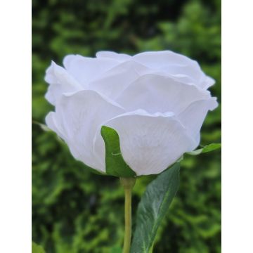 Rosa artificial MARNUK, color crema-blanco, 60 cm