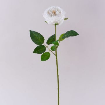 Rosa artificial MARNUK, color crema-blanco, 60 cm