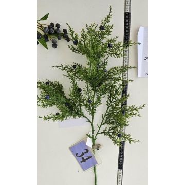 Rama decorativa de enebro NAFIRNE con bayas, verde-azul oscuro, 65 cm