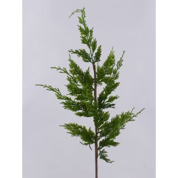 Rama decorativa de tuya STERNYN, verde, 85 cm Rama decorativa de tuya STERNYN, verde, 85 cm