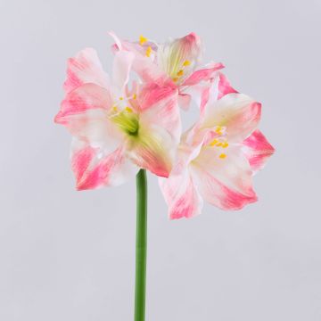 Amaryllis artificial SARNUK, blanco-rosa, 80 cm Amaryllis artificial SARNUK, blanco-rosa, 80 cm