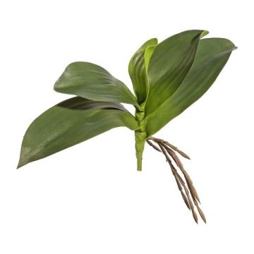 Hojas artificiales de orquídea Phalaenopsis BRULST, varilla, raíces, 25 cm