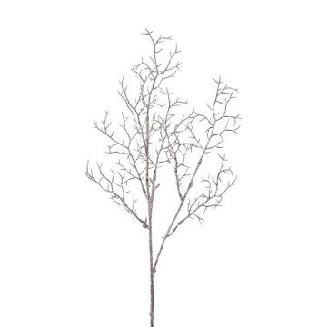 Rama decorativa de coral ZORVEK, congelada, blanco-marrón, 70 cm