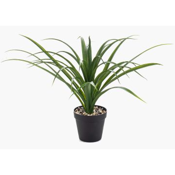 Palmera yuca artificial Yucca rostrata POLLYANNA, maceta decorativa, crossdoor, 35 cm Palmera yuca artificial Yucca rostrata POLLYANNA, maceta decorativa, crossdoor, 35 cm