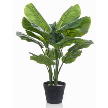 Planta artificial Calathea Orbifolia CAPHOR, verde grisáceo, 70 cm